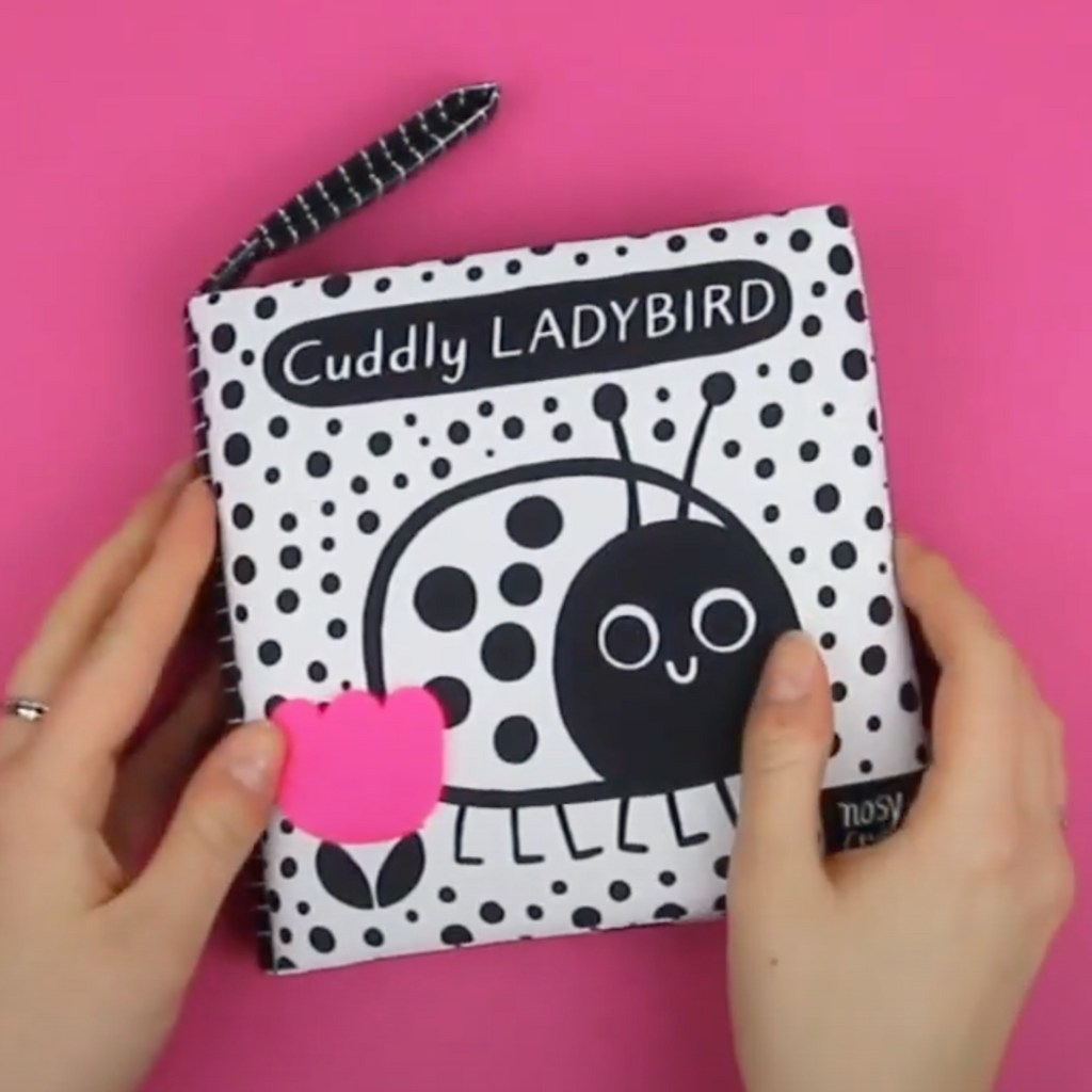 BABY’S FIRST CLOTH BOOK: Cuddly Ladybug — by Ingela P. Arrhenius