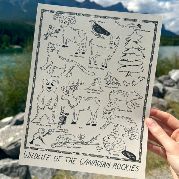 WILDLIFE OF THE CANADIAN ROCKIES, 8.5" x 11" — by Amery Sandford